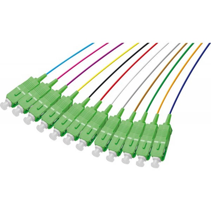 Pigtail OS2 sc/apc lszh 12 connectors- 2 m