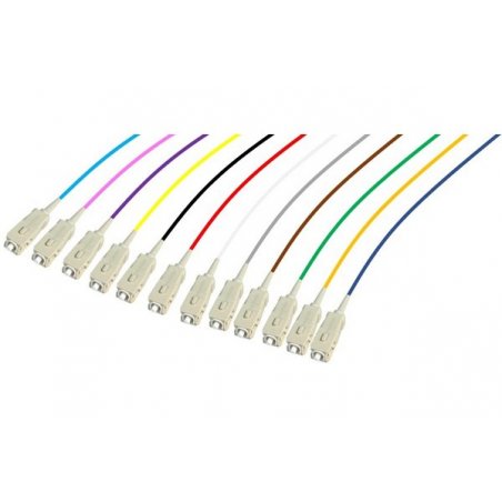 Pigtail OM4 SC/UPC LSZH 12 Connectors- 2 m