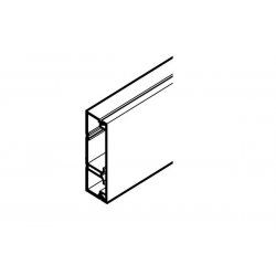 REHAU AXIS MINI DUCT 50x20 WITH 1 PARTITION PVC WHITE 2M