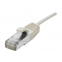 DEXLAN Cat6A RJ45 Patch cable S/FTP LSZH snagless grey - 10 m