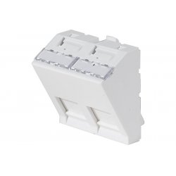 Wall plate with 30° angle for 2 x RJ45 outlets- 45 x 45 mm