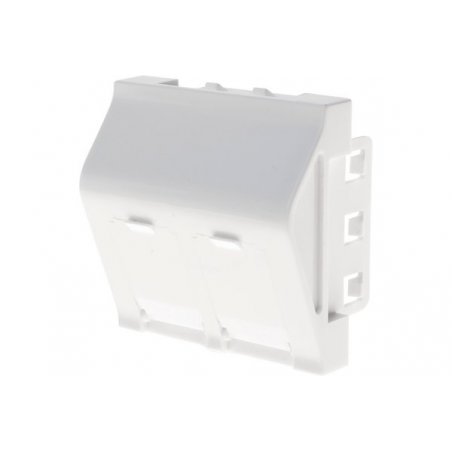 Wall plate with 30° angle for 2 x RJ45 outlets- 45 x 45 mm
