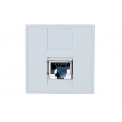 DEXLAN 1 port RJ45 CAT.6 STP face plate