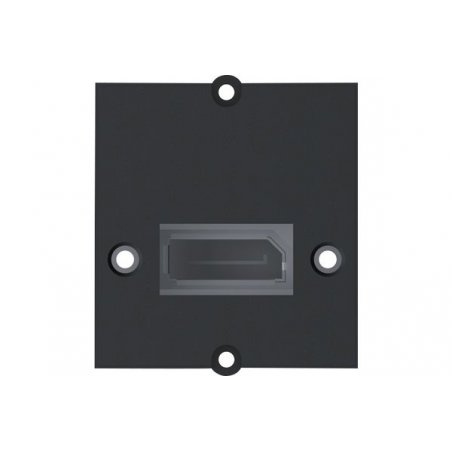 Bachmann displayport french plate 917.145