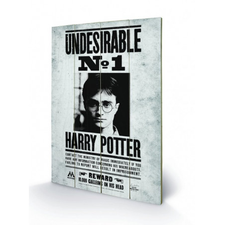 HARRY POTTER - Undesirable N° 1 - Impression sur bois 40x59cm