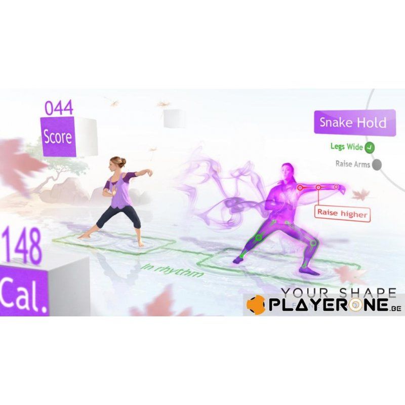 Your Shape : Fitness Evolved (KINECT CLASSICS)