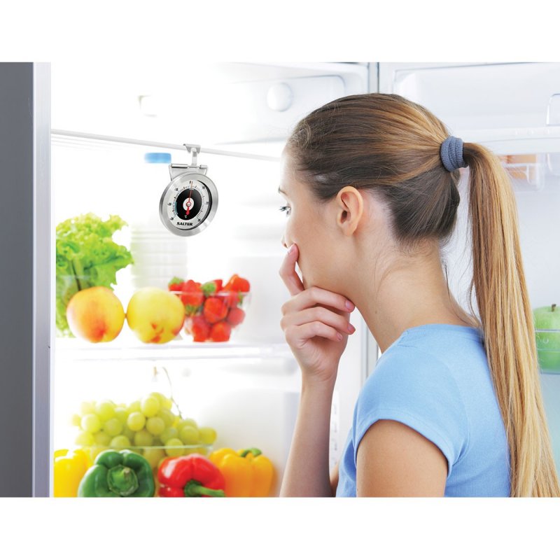 STOCK2 - Salter 517 SSCREU16 Salter Analogue Fridge/Freezer Thermometer