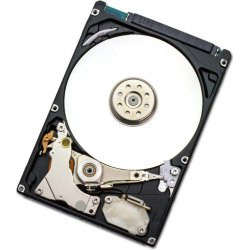 Disque Dur HGST compatible Endurastar 100 Go S-ATA (J4K320)